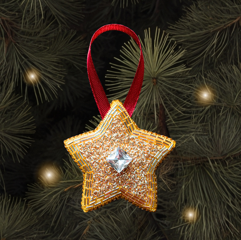 Christmas Star Goldwork Embroidery Kit for Beginners